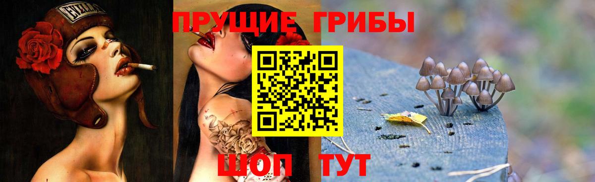Галлюциногенные грибы мухоморы  Псилоцибиновые грибы прущие грибы  Казань  Вход с VPN 